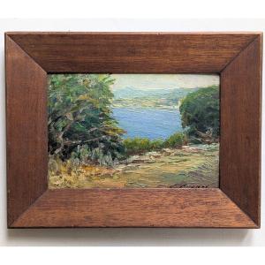 Huile sur carton signée paysage du sud 