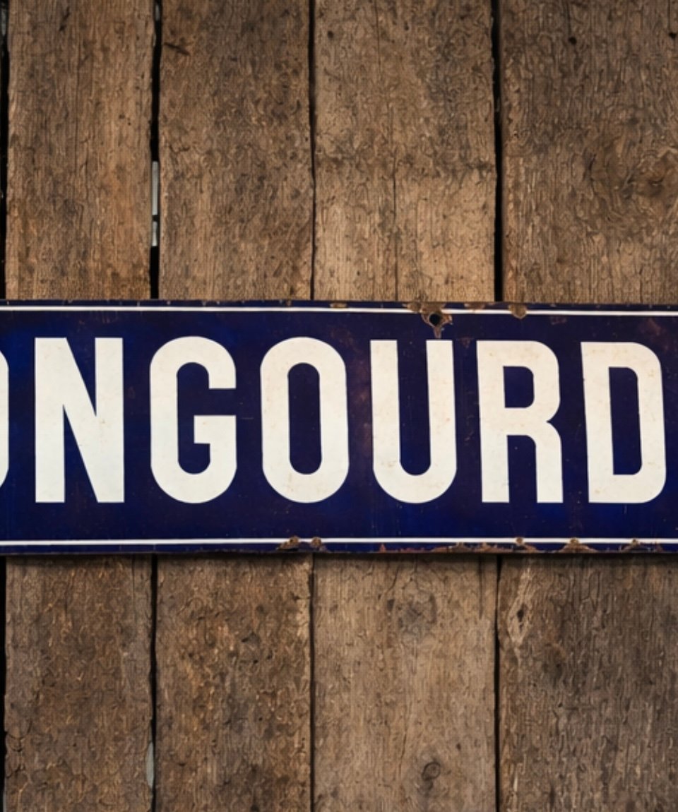 Large Enamel Advertising Sign "maison Mongourdier – Founded In 1825" – 3 Meters-photo-3