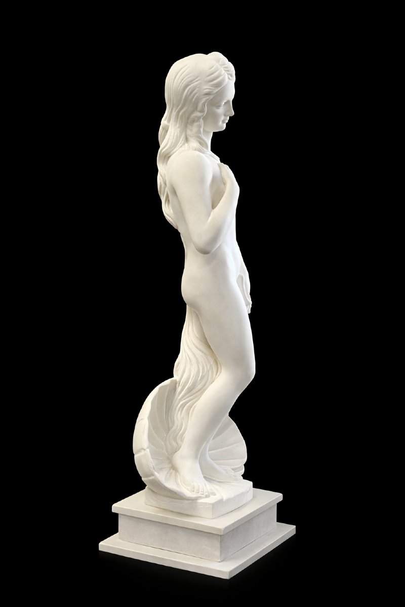 Marble Sculpture - Venus Anadyomene - Birth Of Venus - Circa 1900-photo-2