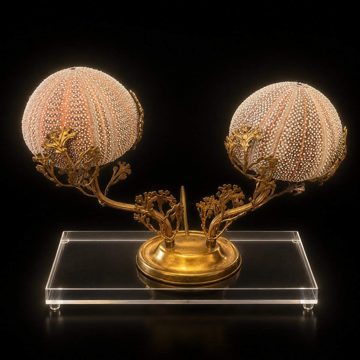 Lampe "Oursins" – Travail décoratif marin en laiton doré, vers 1950-1970