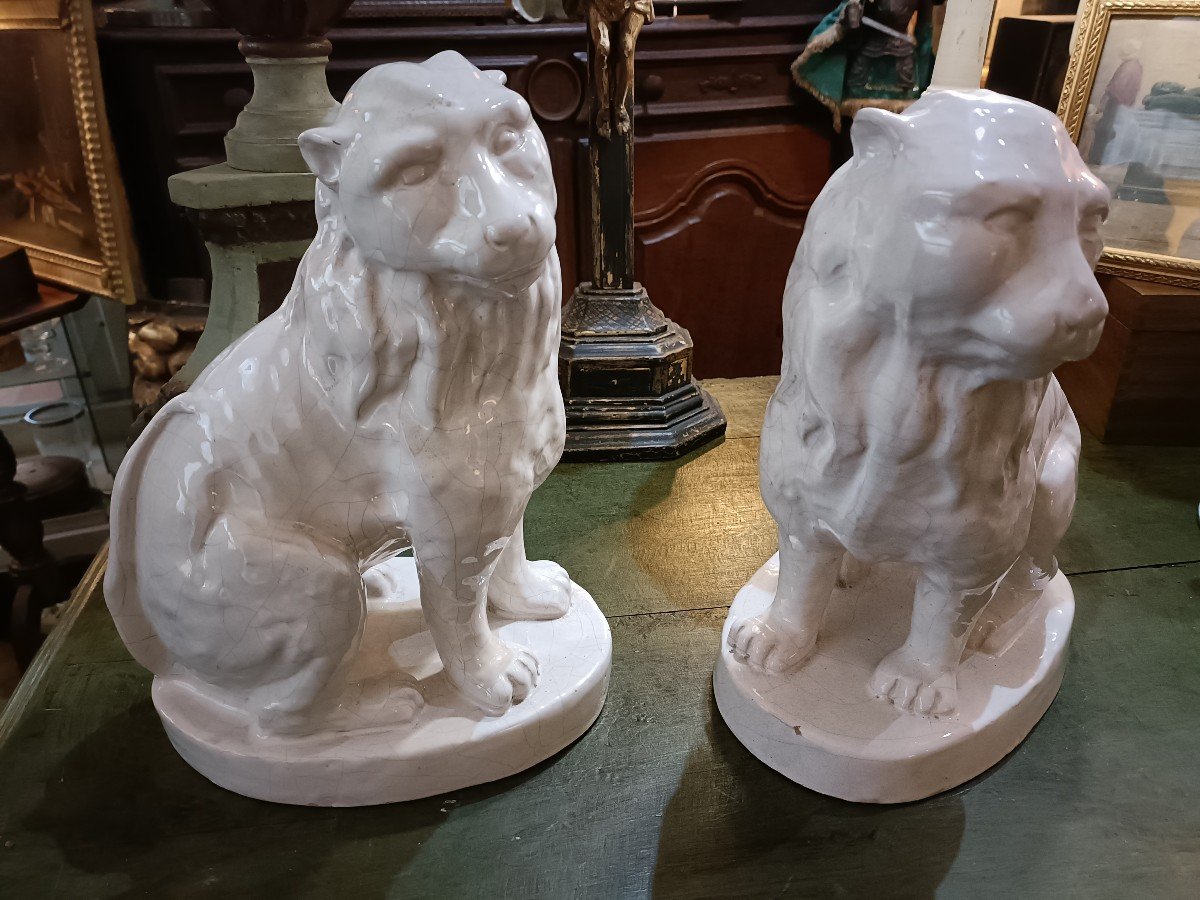 Pair Of Lions Confronting 
