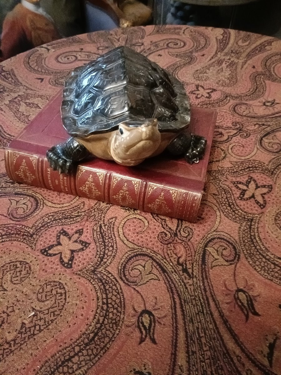 Tortue céramique -photo-3