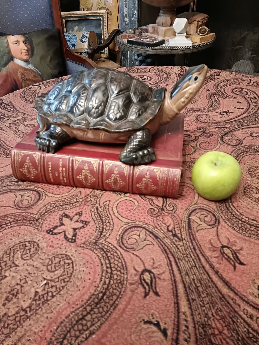 Tortue céramique -photo-1