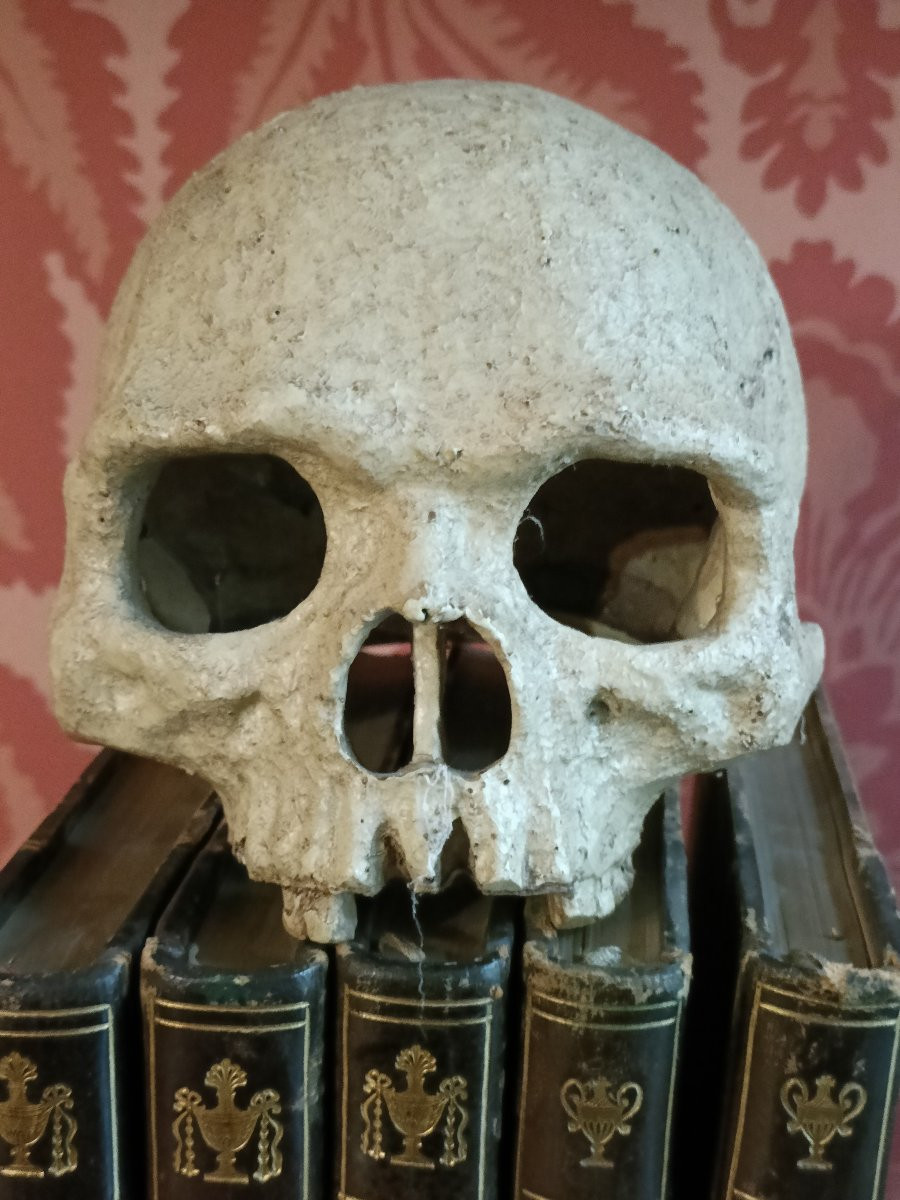 Paper Mache And Stucco Skull-photo-2