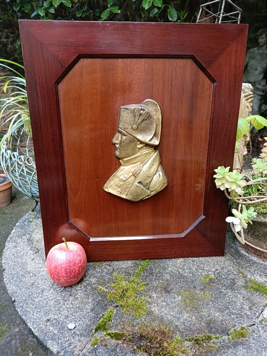 Napoleon Bronze Profile-photo-3