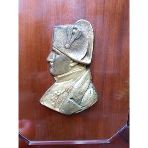 Napoleon Bronze Profile