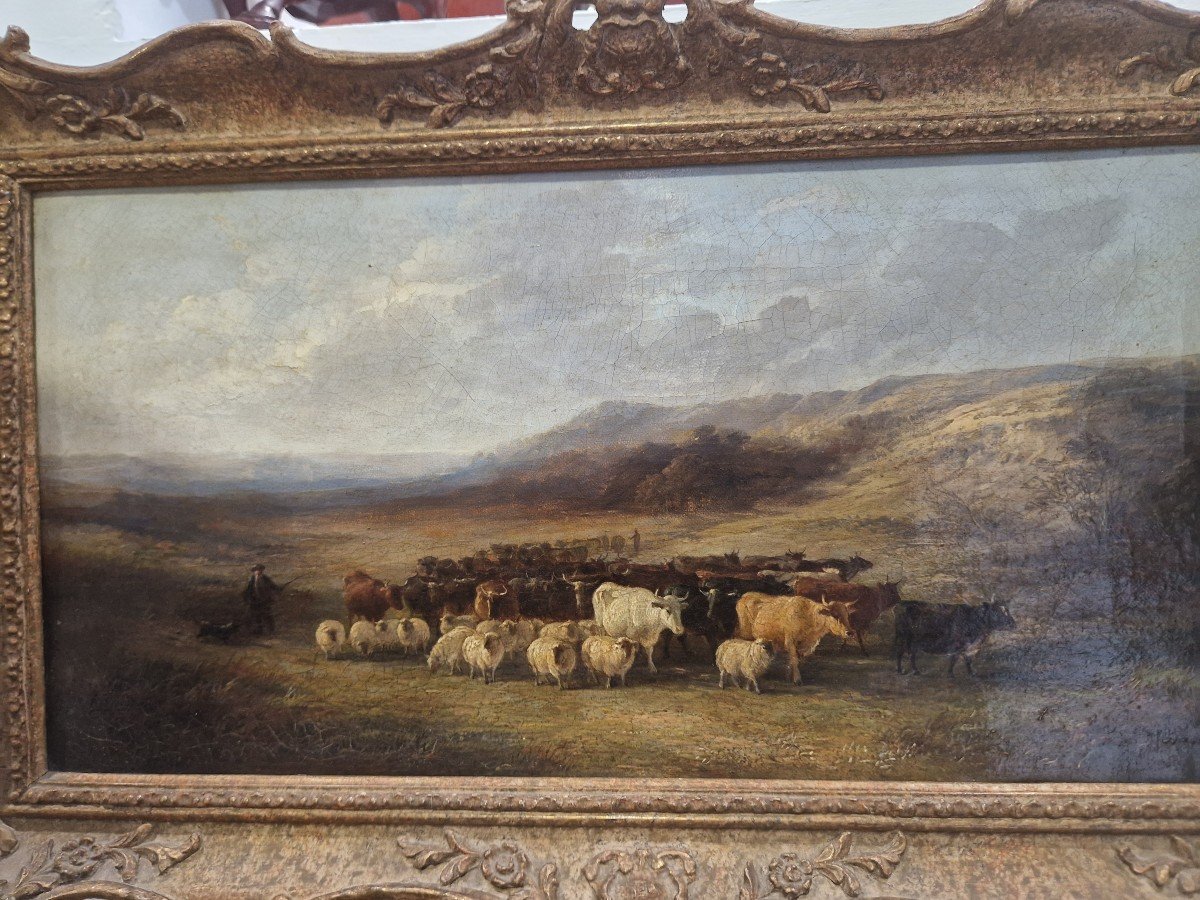 Painting On Canvas Landscape With Herds. England 19th Century -photo-3