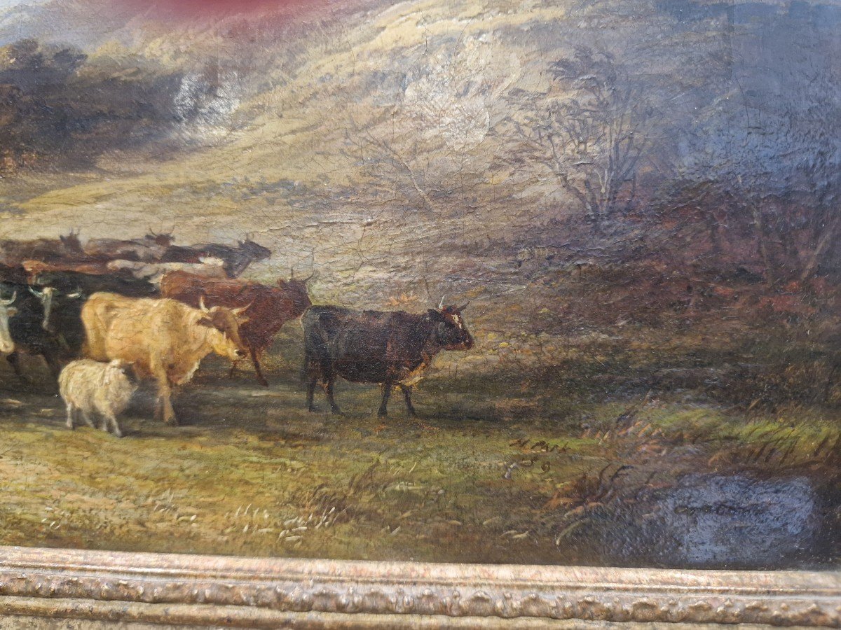 Painting On Canvas Landscape With Herds. England 19th Century -photo-2
