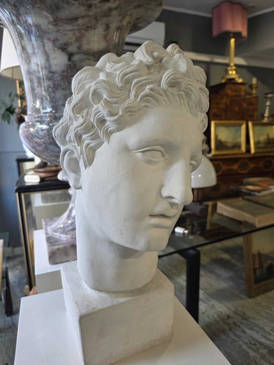 Plaster Head With Plaster Base. Italy 19th Century-photo-3