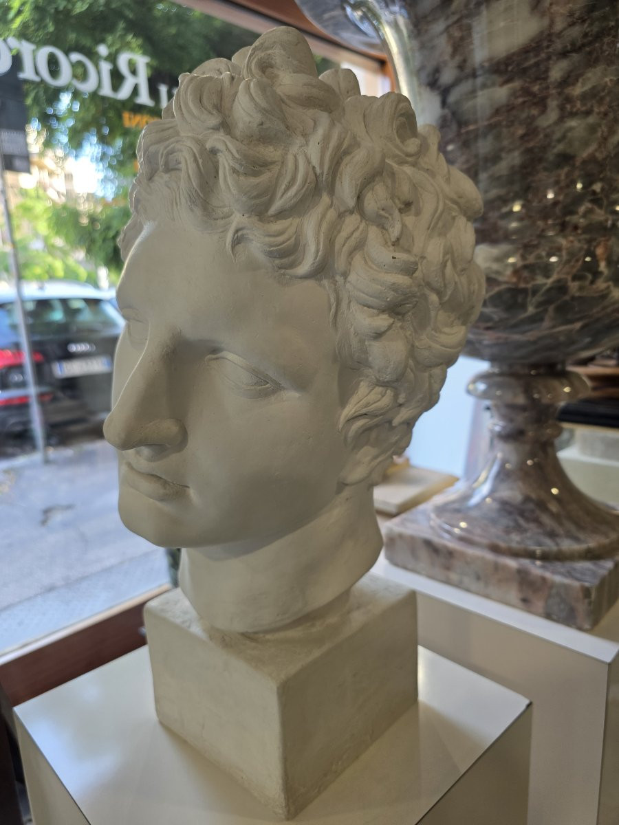 Plaster Head With Plaster Base. Italy 19th Century-photo-1