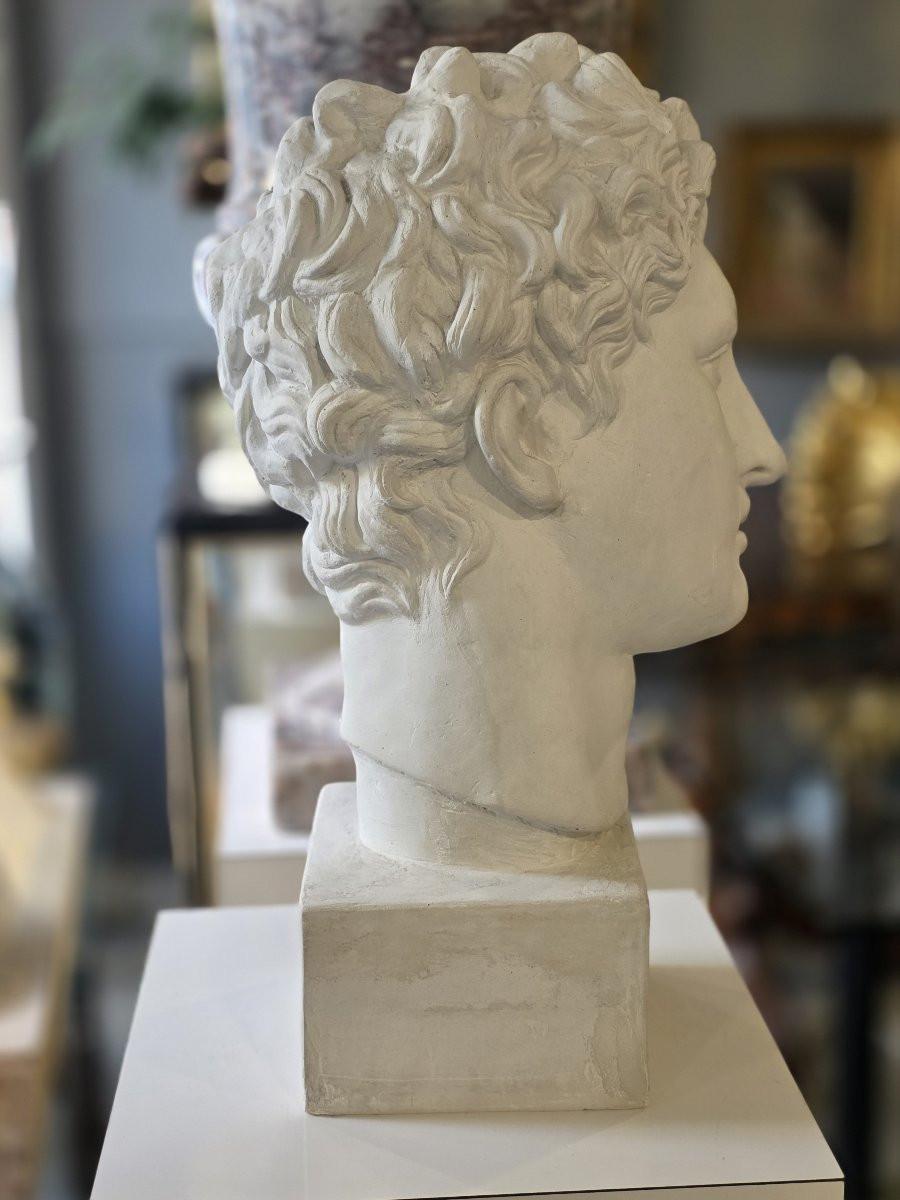 Plaster Head With Plaster Base. Italy 19th Century-photo-4