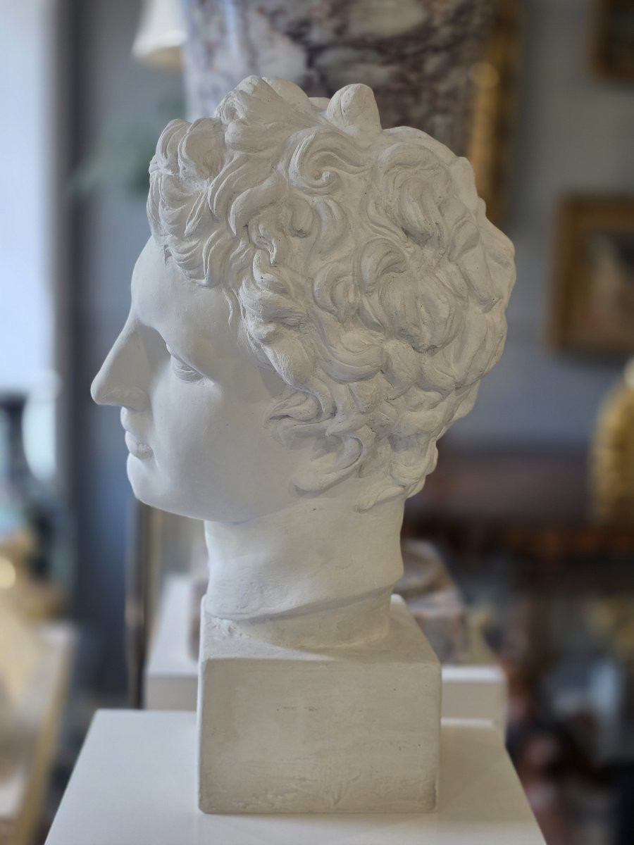 Plaster Head With Plaster Base. Italy 19th Century-photo-7