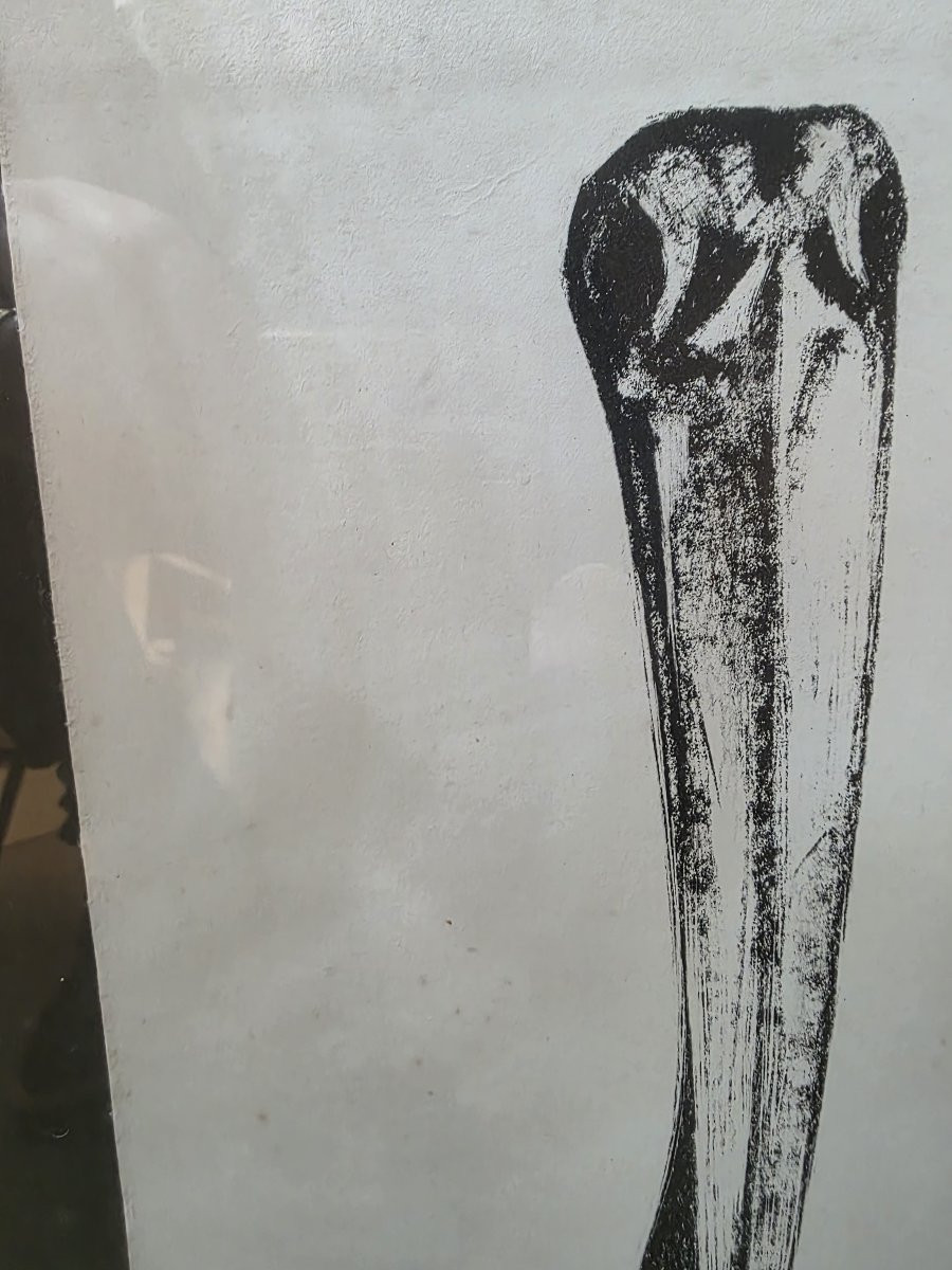 Lithographie sur carton, numérotée 37/100 en bas à gauche, signée et datée « B. Mohasses 71 ».-photo-2