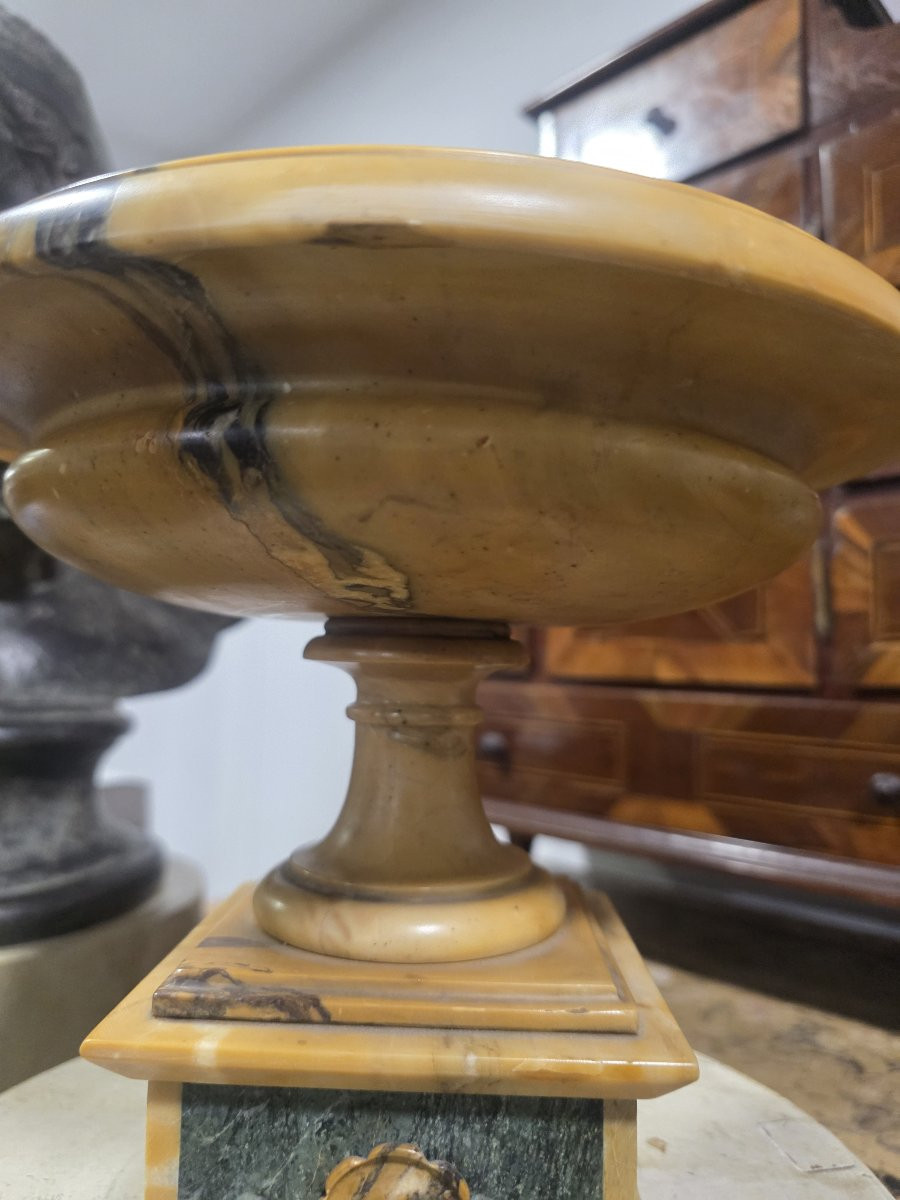 Grand Tour Cup In Giallo Antico Marble And Green Alpine Marble, 19th Century Italy-photo-5