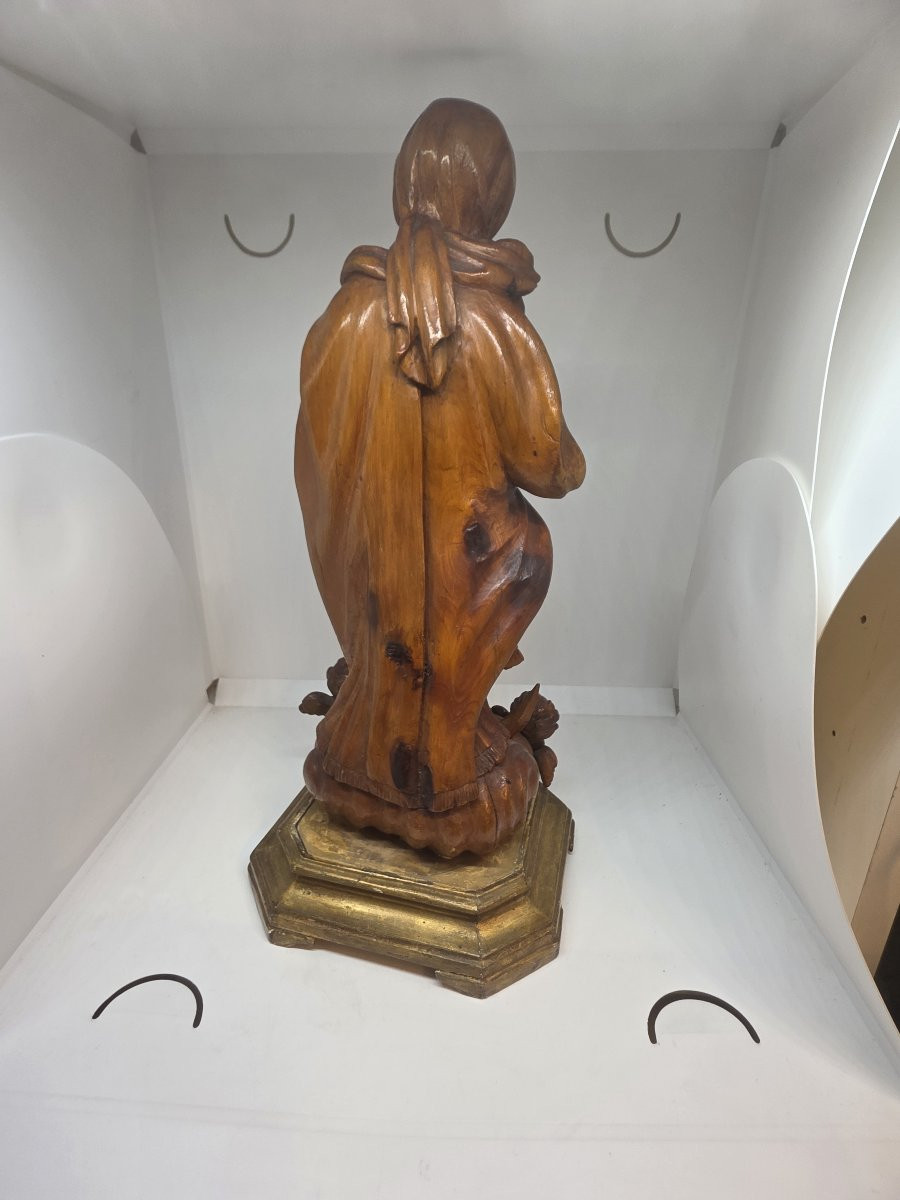 Statue en bois sculpté représentant l'Immaculée Conception, XIXe siècle, Sicile-photo-6