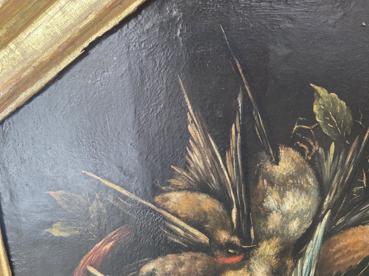 Paire de natures mortes au gibier – Huile sur toile, XVIIe-XVIIIe siècle-photo-2