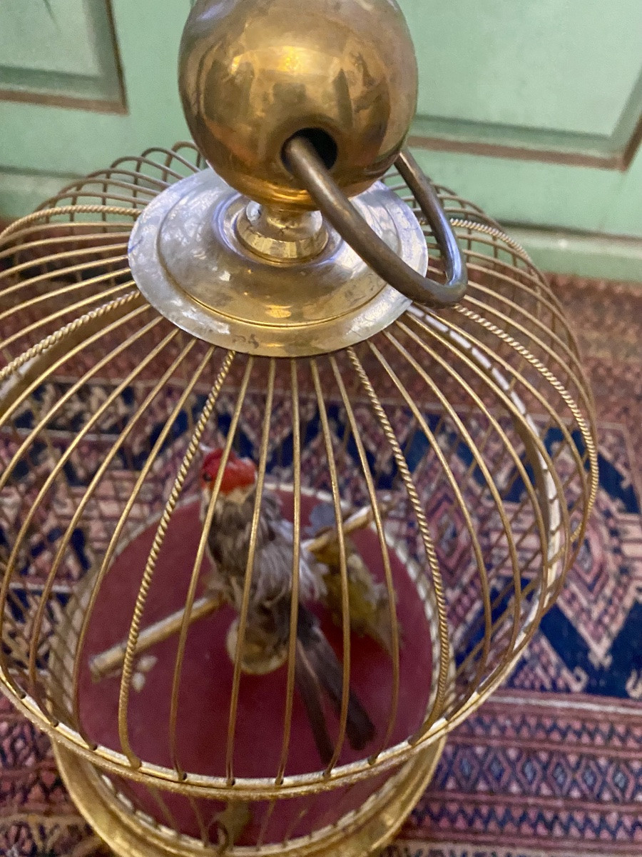 Cage With 2 Whistling Birds From The Napoleon III Period -photo-2