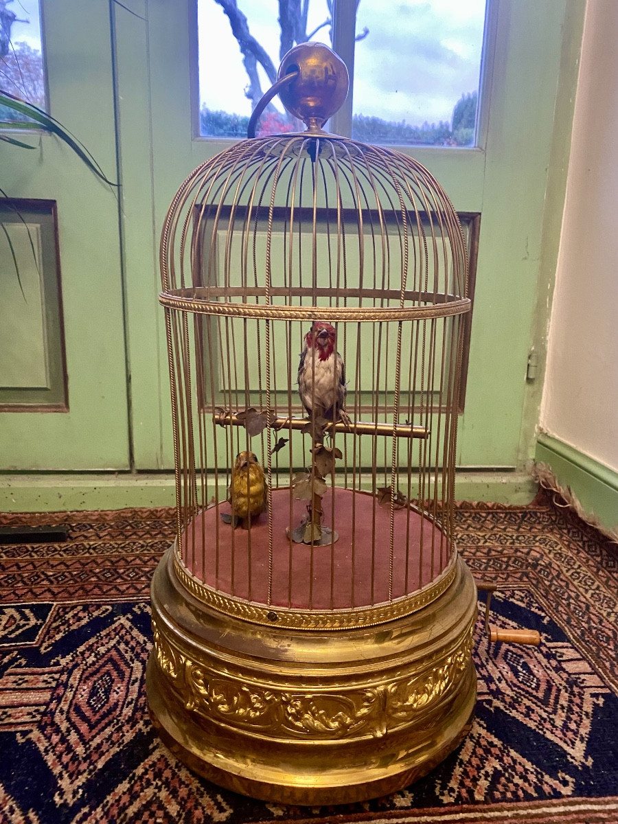 Cage With 2 Whistling Birds From The Napoleon III Period 
