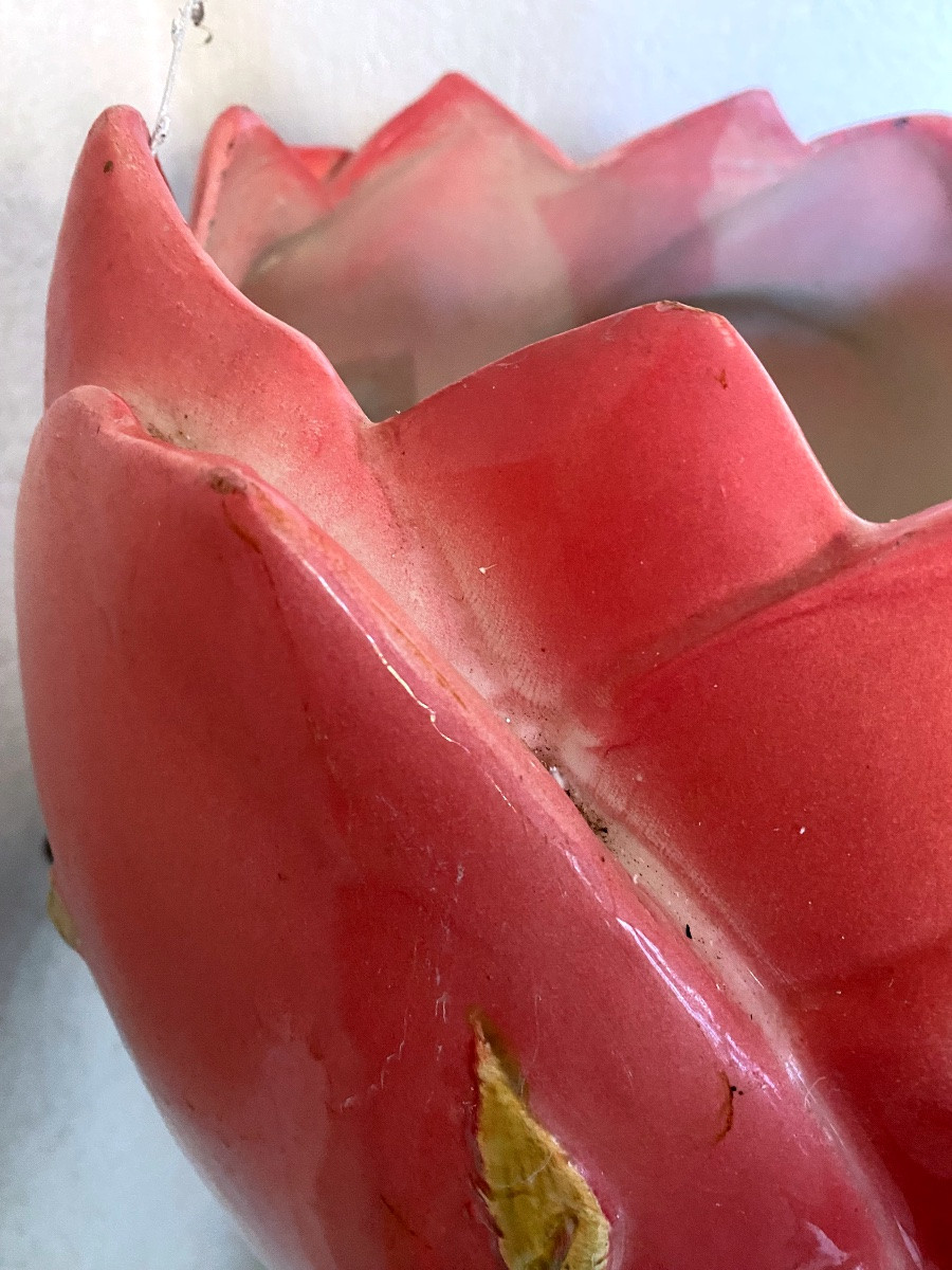 Delphin Massier Flamant rose et iris -photo-4