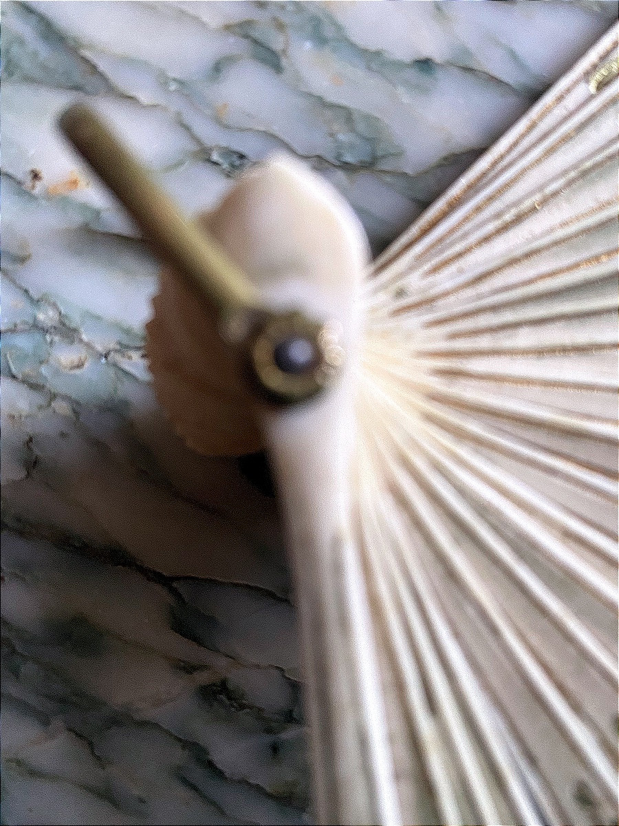 A Very Cute Fan In Ivory And Finely Decorated Lace -photo-1