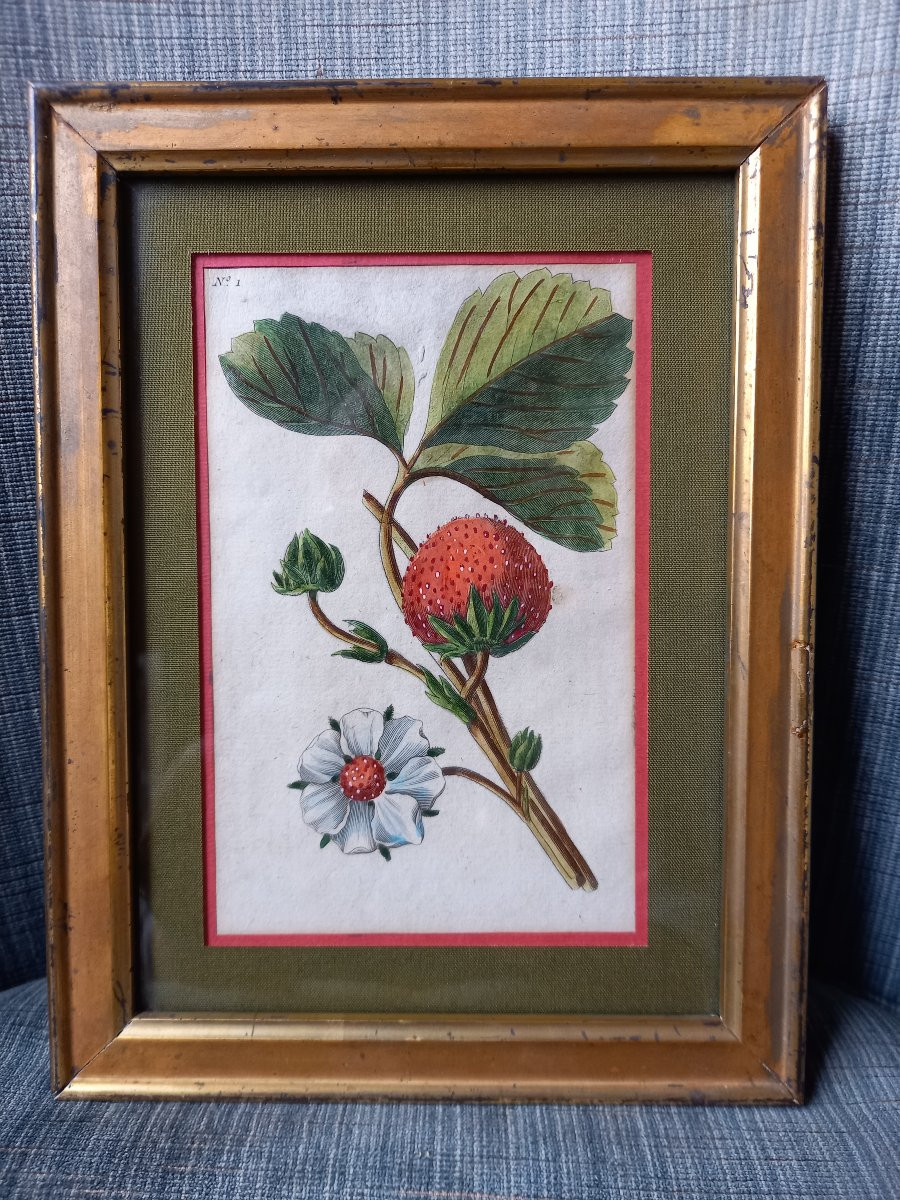 Pair Of Engravings With Colored Highlights By François-noël Sellier (1737-18..)-photo-2