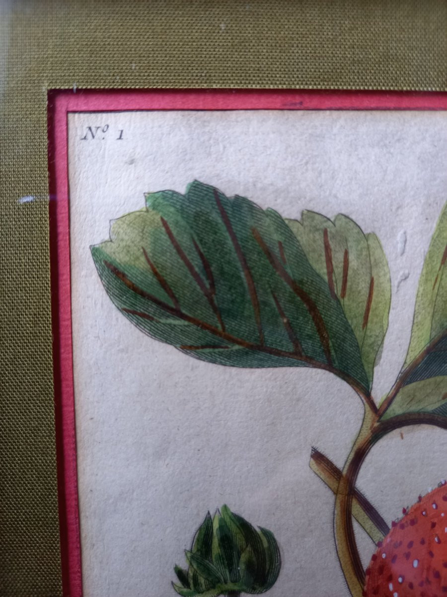 Pair Of Engravings With Colored Highlights By François-noël Sellier (1737-18..)-photo-2