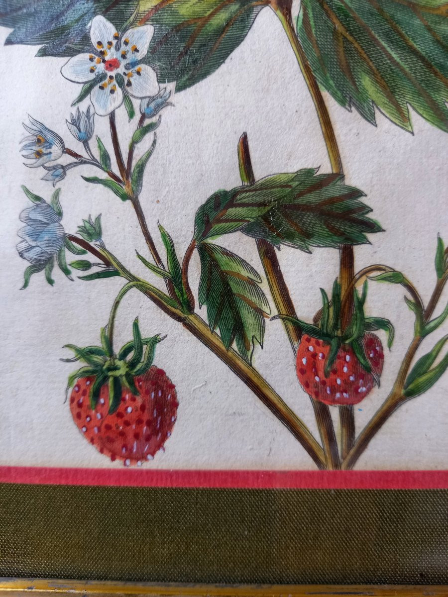 Pair Of Engravings With Colored Highlights By François-noël Sellier (1737-18..)-photo-3