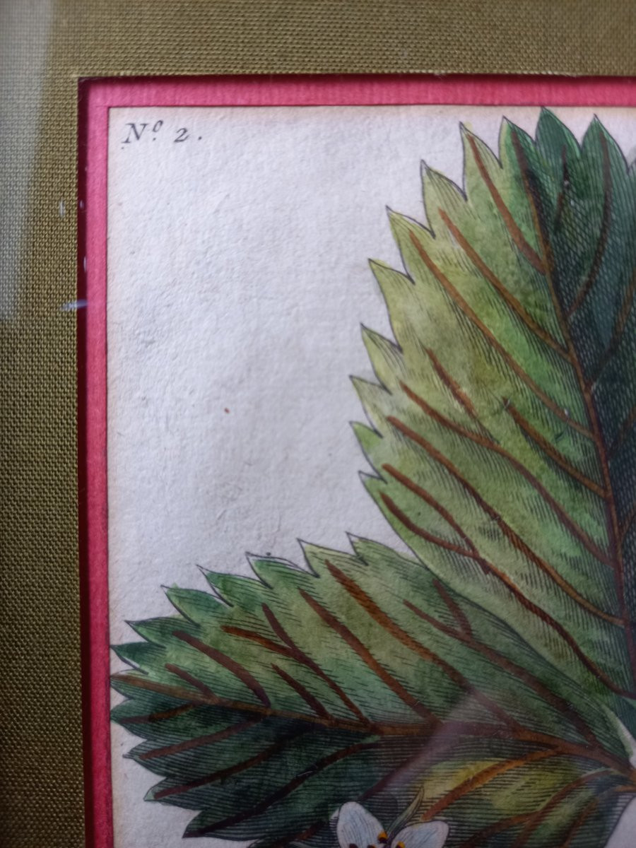 Pair Of Engravings With Colored Highlights By François-noël Sellier (1737-18..)-photo-4