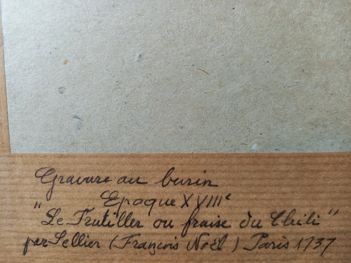 Pair Of Engravings With Colored Highlights By François-noël Sellier (1737-18..)-photo-6