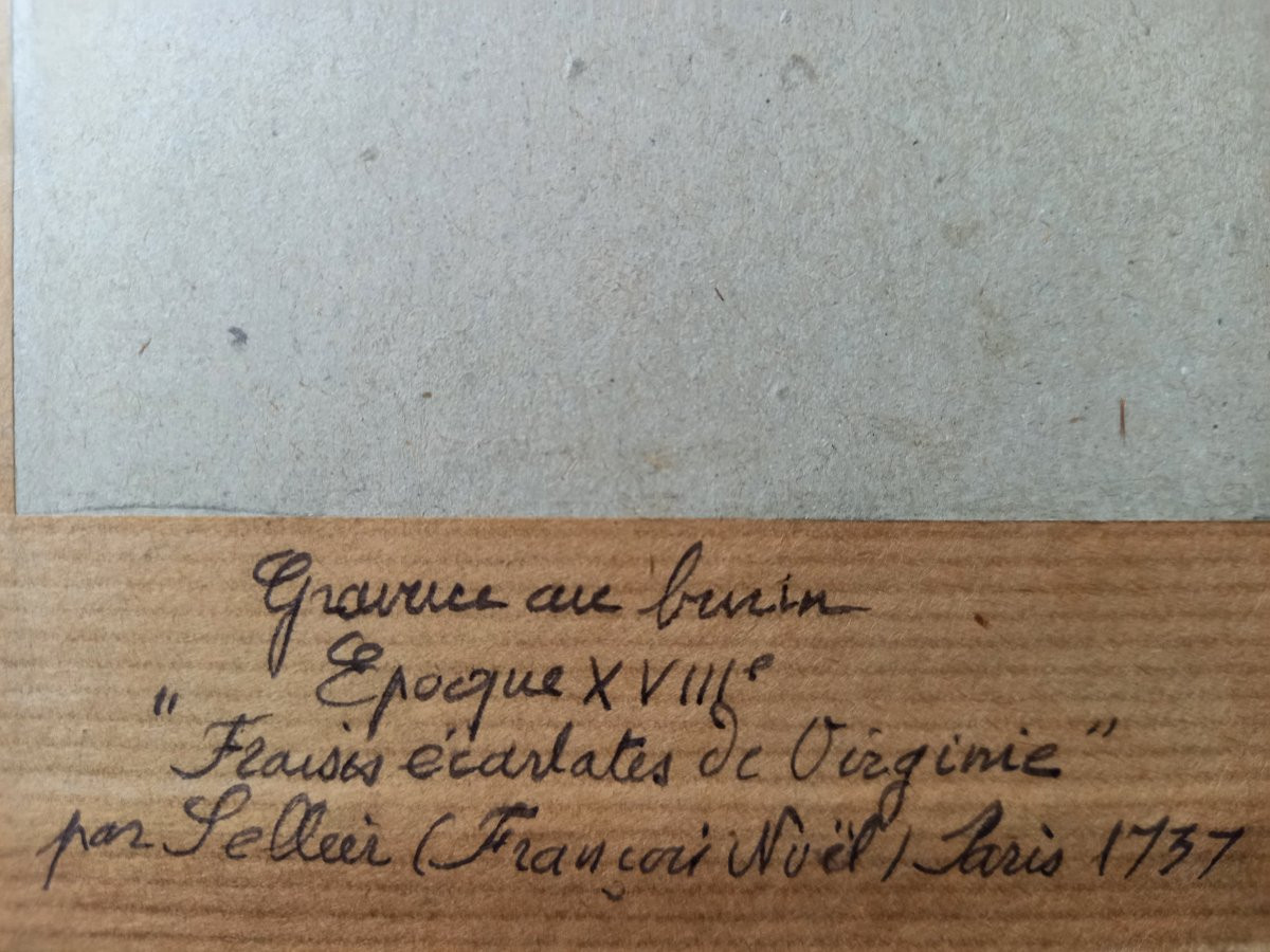 Pair Of Engravings With Colored Highlights By François-noël Sellier (1737-18..)-photo-8