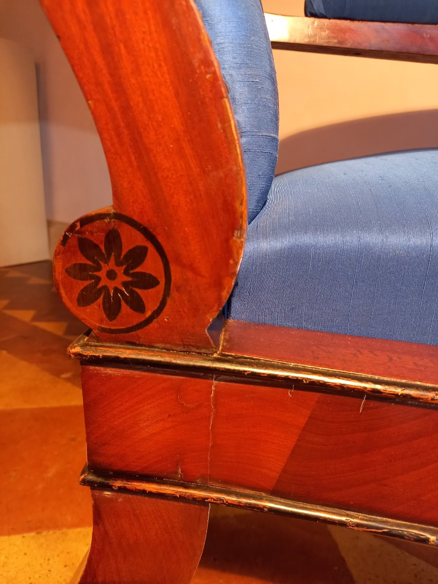 Spectacular Armchair In Mahogany And Blackened Wood With Griffin-shaped Armrests-photo-5