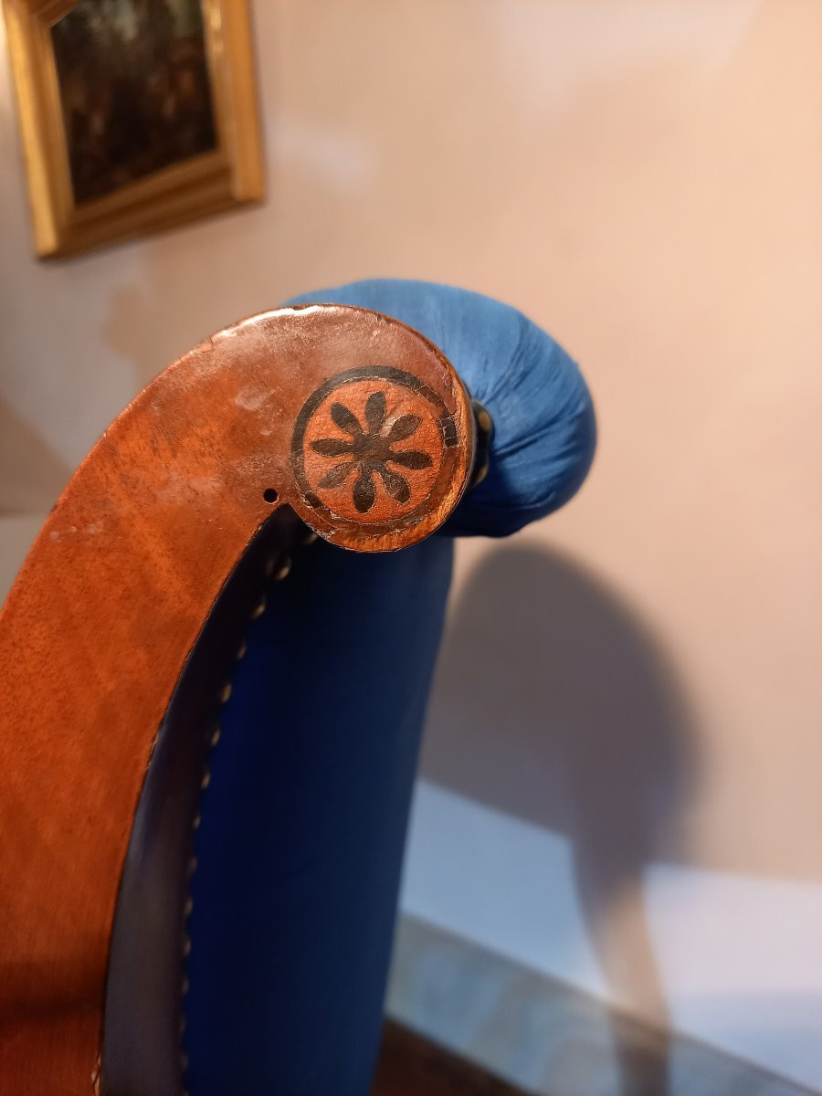 Spectacular Armchair In Mahogany And Blackened Wood With Griffin-shaped Armrests-photo-6