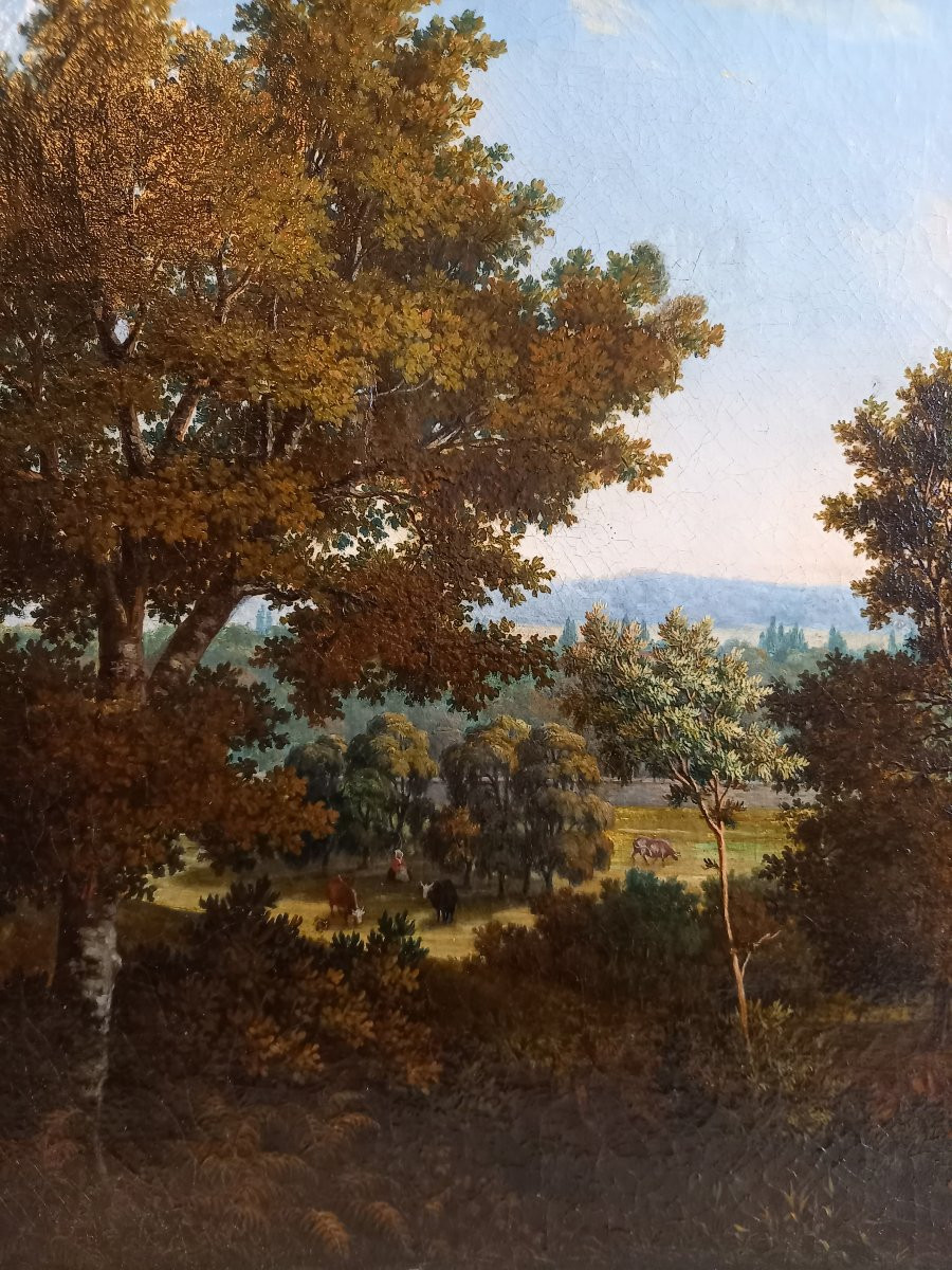 André Jannois, View Of The Château De Versailles From The Bois De Satory-photo-2