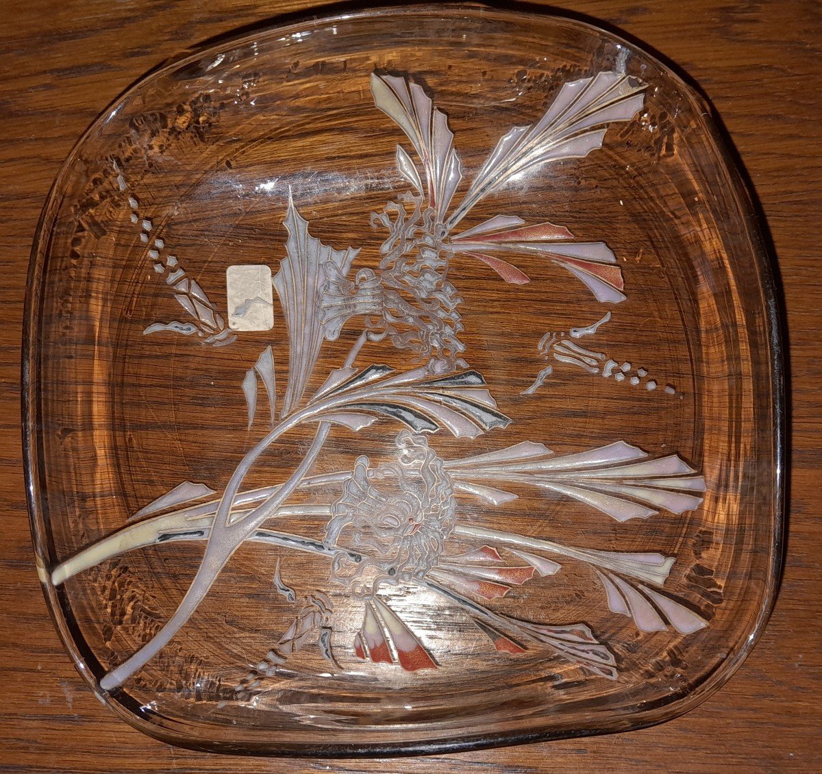 Emile Gallé Enamelled Smoked Glass Bowl With Aquatic Decoration-photo-1