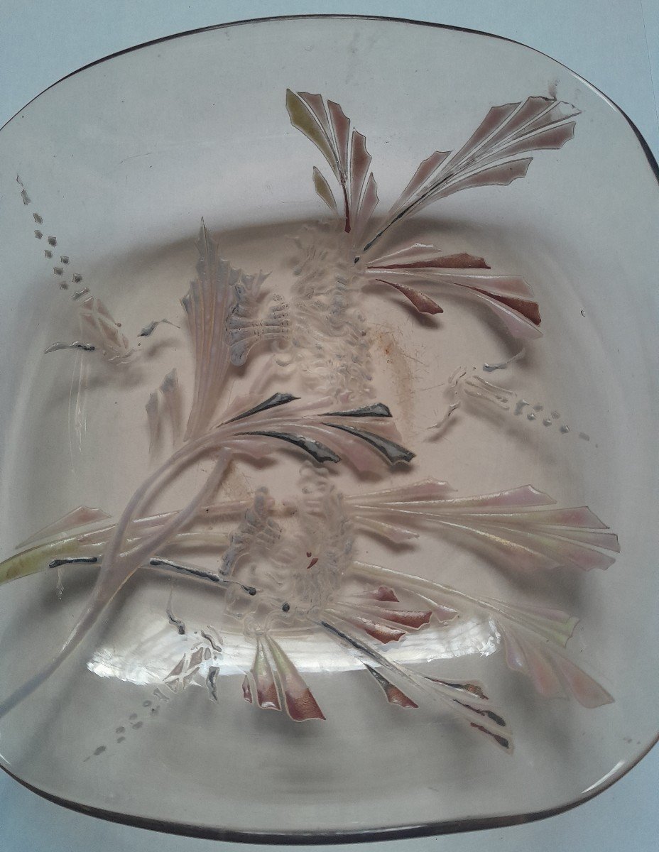 Emile Gallé Enamelled Smoked Glass Bowl With Aquatic Decoration-photo-5