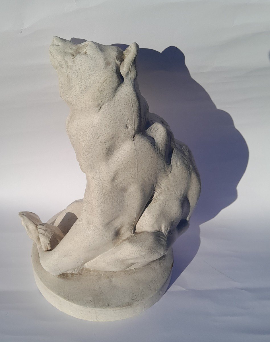 Georges Gardet (1863-1939), Seated Bear, Dedicated Studio Plaster-photo-2