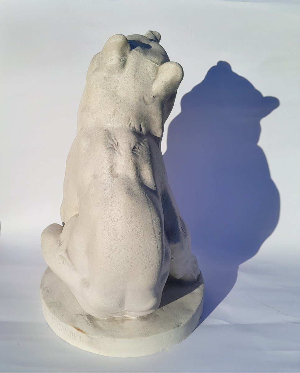 Georges Gardet (1863-1939), Seated Bear, Dedicated Studio Plaster-photo-4