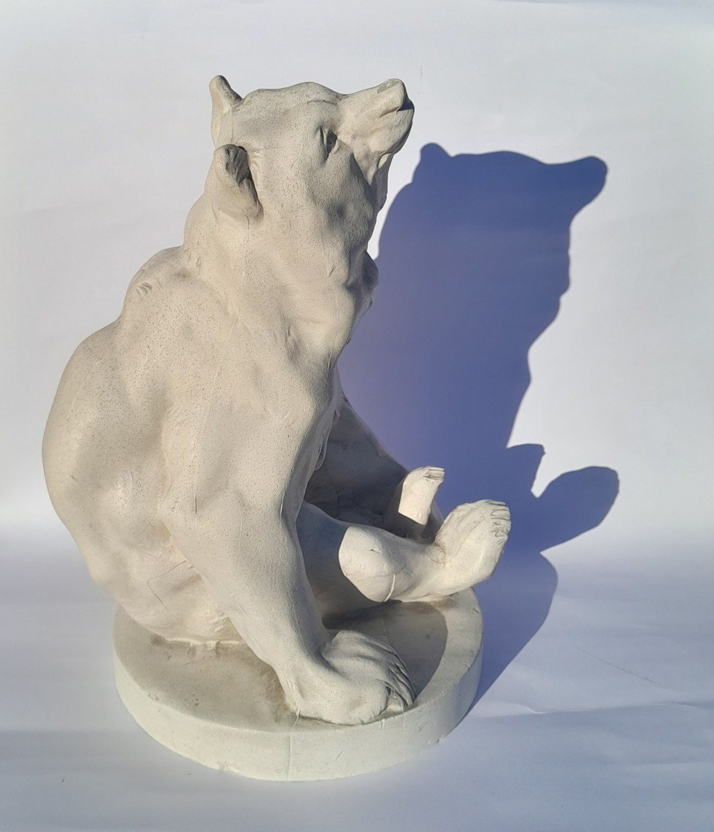 Georges Gardet (1863-1939), Seated Bear, Dedicated Studio Plaster