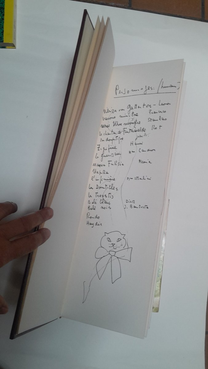 Léonor FINI, Histoire de Vibrissa, Paris, Tchou, 1973-photo-1