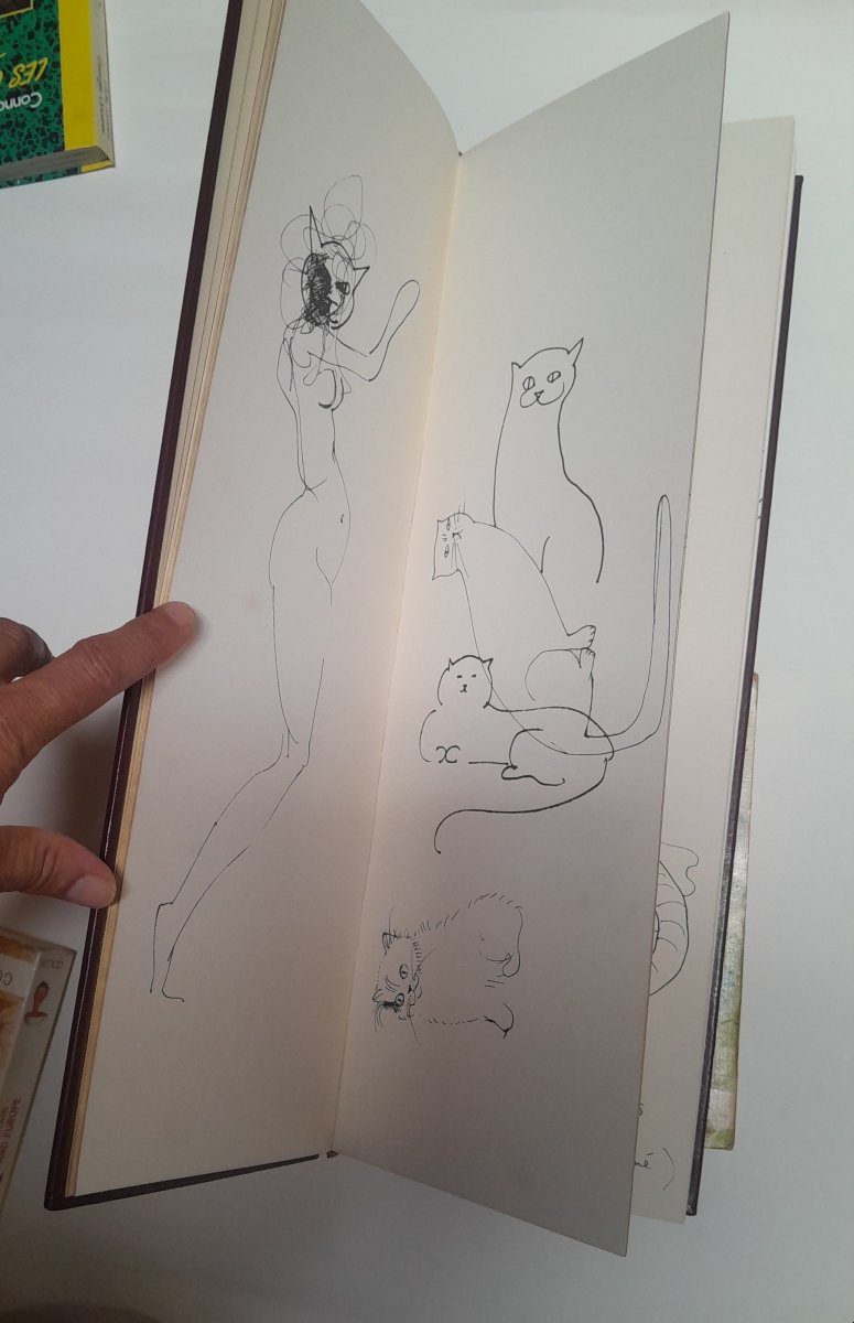 Léonor FINI, Histoire de Vibrissa, Paris, Tchou, 1973-photo-2