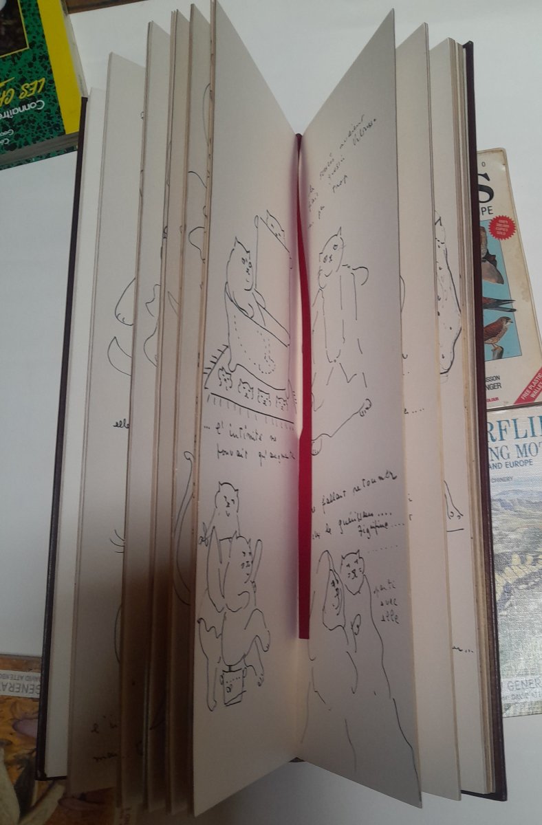 Léonor FINI, Histoire de Vibrissa, Paris, Tchou, 1973-photo-3