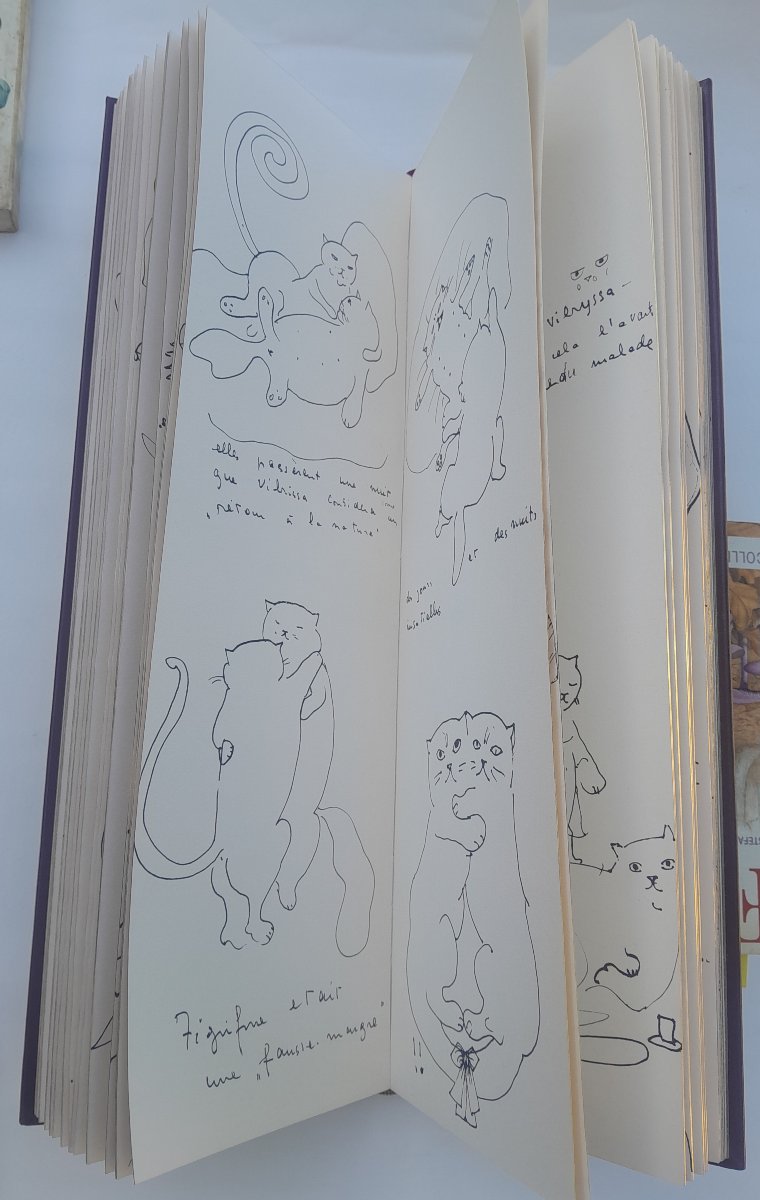 Léonor FINI, Histoire de Vibrissa, Paris, Tchou, 1973-photo-5