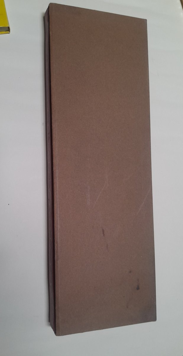 Léonor FINI, Histoire de Vibrissa, Paris, Tchou, 1973-photo-8