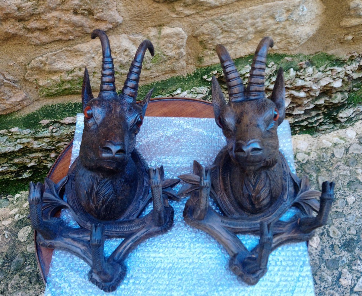 Pair Of “black Forest” Chamois Heads Walking Sticks Holders-photo-1
