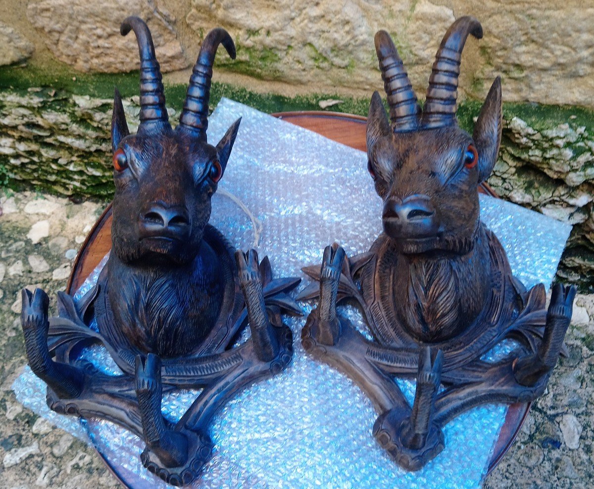 Pair Of “black Forest” Chamois Heads Walking Sticks Holders-photo-4