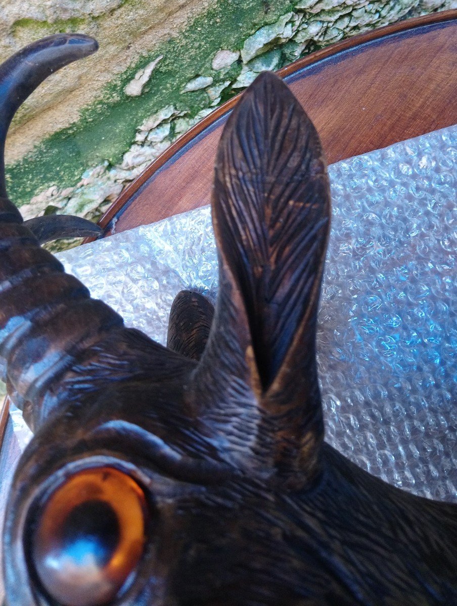 Pair Of “black Forest” Chamois Heads Walking Sticks Holders-photo-5