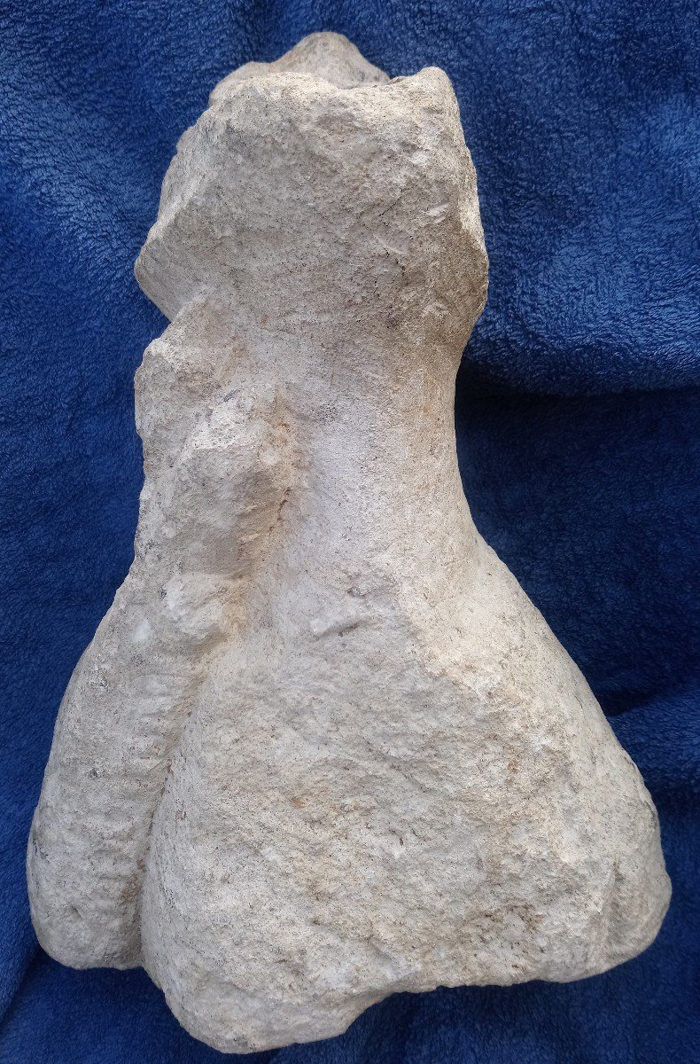 Stone Gargoyle In The Form Of A Vomiting Lion - 15th Century-photo-3