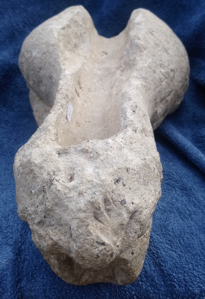 Stone Gargoyle In The Form Of A Vomiting Lion - 15th Century-photo-4