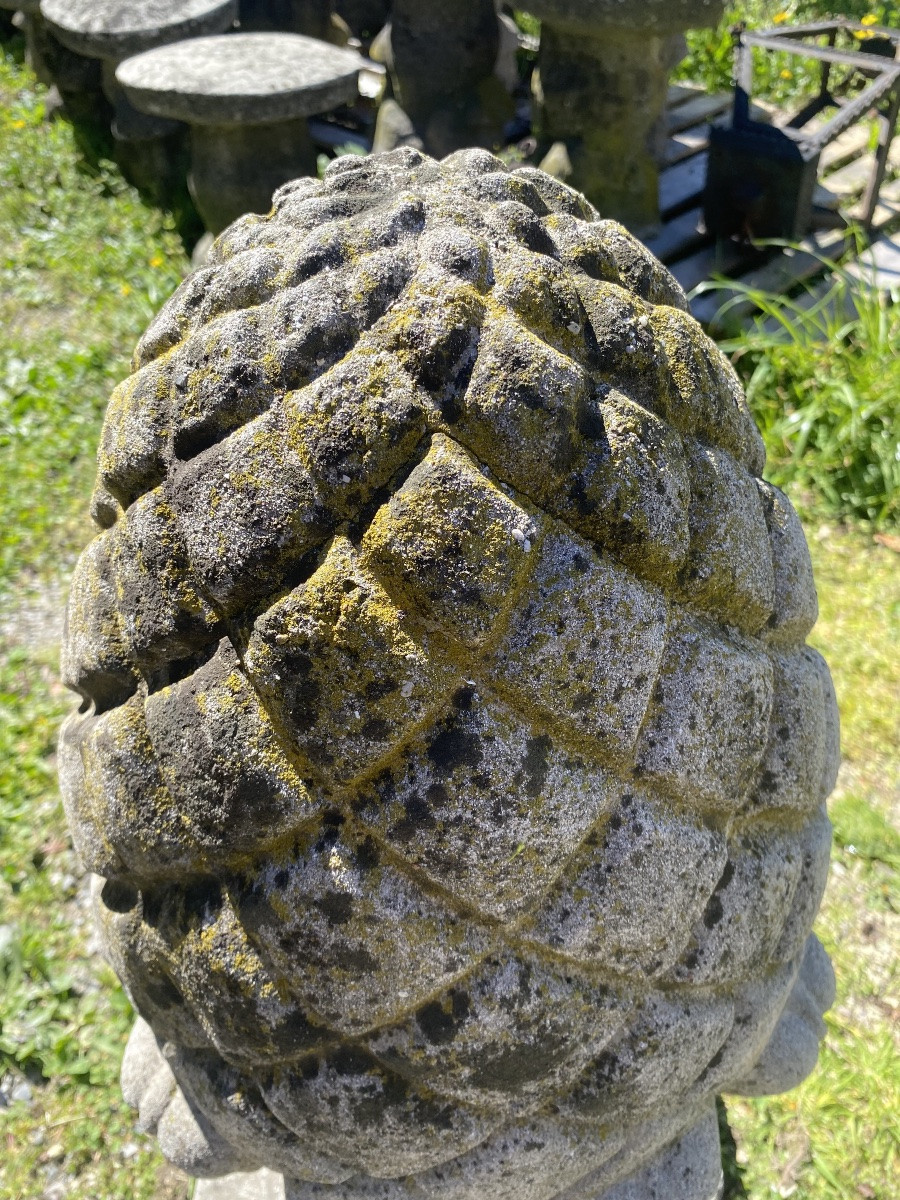 paire de pommes de pin du début des années 1900-photo-4