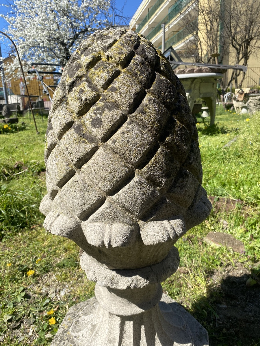 paire de pommes de pin du début des années 1900-photo-1